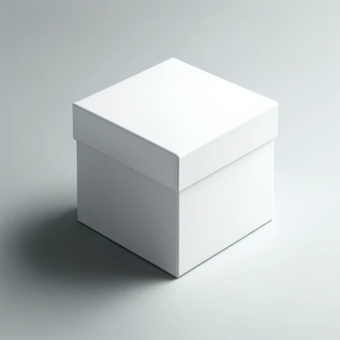 Kraft White Boxes1