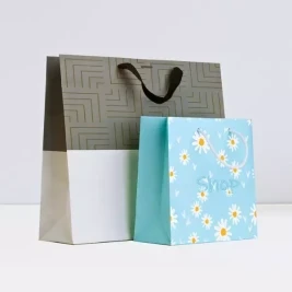 Paper Bags